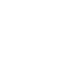 Templates Line Icon